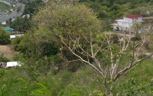 Small block overlooking the ocean and Moto GP Track